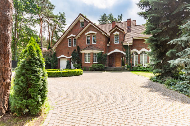 Best Driveway Paving Contractor  in Friona, TX